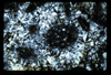ap1604_06_16
