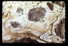 ap1604_06_17
