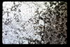 ap1604_07_03