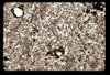 ap1604_07_09