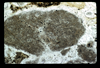 ap1604_08_05