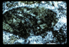 ap1604_08_06