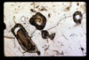 ap1604_08_09