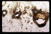 ap1604_08_11