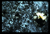 ap1604_08_12
