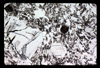 ap1604_11_06