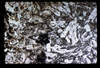 ap1604_13_05