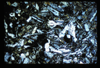 ap1604_13_06