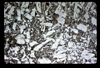 ap1604_13_07