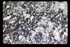 ap1604_13_13