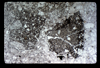 ap1604_13_15