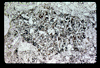 ap1604_13_17