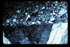ap1604_13_19