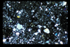 ap1604_14_04