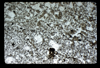 ap1604_14_06