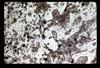 ap1604_14_08
