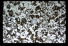 ap1604_14_09