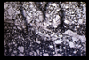 ap1604_15_12