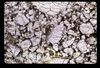 ap1604_16_03