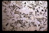 ap1604_16_05