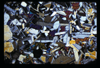 ap1604_16_06