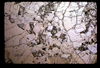 ap1604_16_07