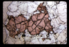 ap1604_16_11