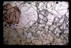 ap1604_16_14