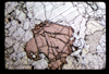 ap1604_16_16