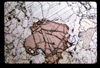 ap1604_16_17