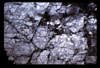 ap1605_01_05