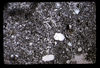 ap1605_01_15