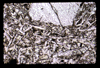 ap1605_01_19