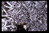 ap1605_02_01