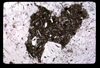 ap1605_02_03