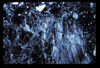 ap1605_02_05