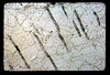 ap1605_02_14