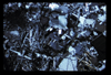 ap1605_03_14