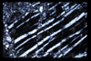 ap1605_04_10