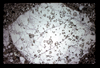 ap1605_07_01