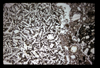 ap1605_07_03
