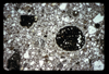 ap1605_07_05