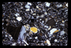 ap1605_07_10