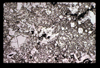 ap1605_08_05