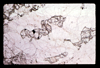 ap1605_08_11