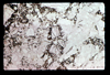 ap1605_08_13