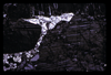 ap1605_09_02