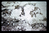 ap1605_09_03