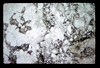 ap1605_09_05