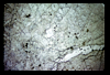 ap1605_09_11